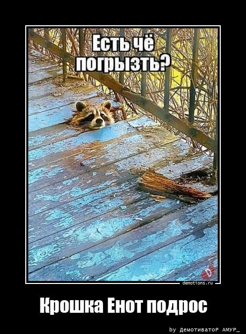 Прикольные демотиваторы