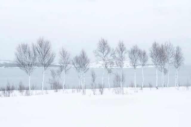 The 20 Breathtaking Winners of International Landscape Photographer of the Year 2025