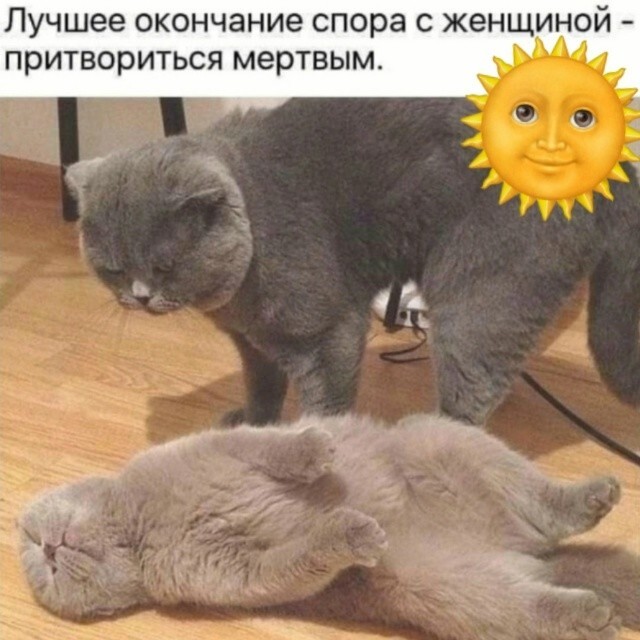 Тарелка улыбатора