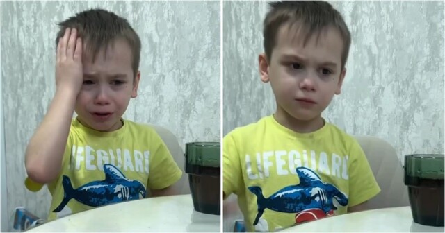 Мальчик честно признался в зависимости от телефона