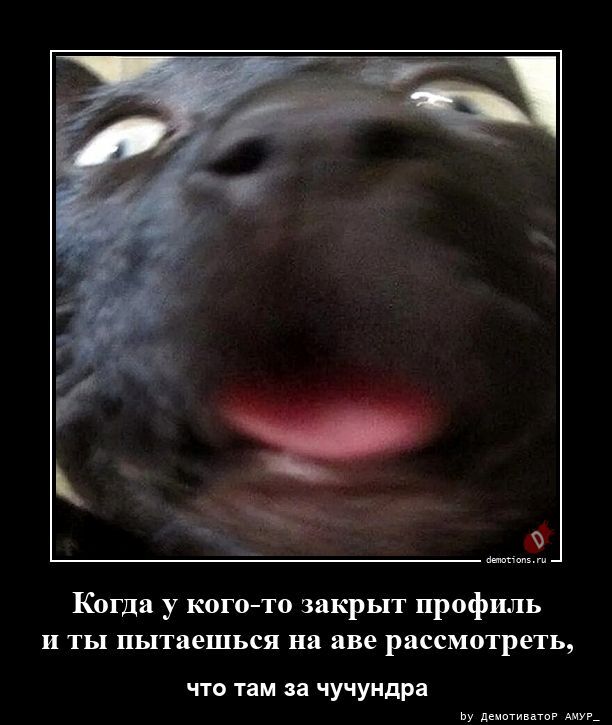 Смешные демотиваторы на злобу дня
