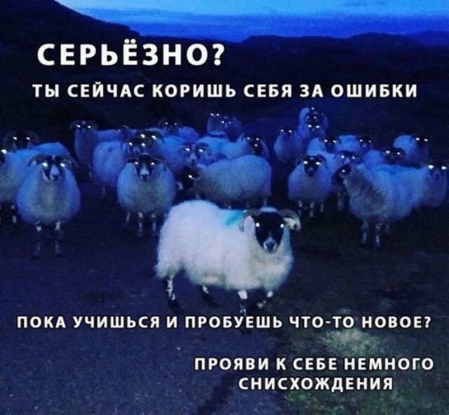 Скрины из соцсетей