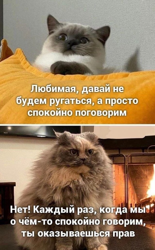 Скрины из соцсетей&nbsp;&nbsp;&nbsp;&nbsp;&nbsp;&nbsp;&nbsp;&nbsp;&nbsp;&nbsp;&nbsp;&nbsp;