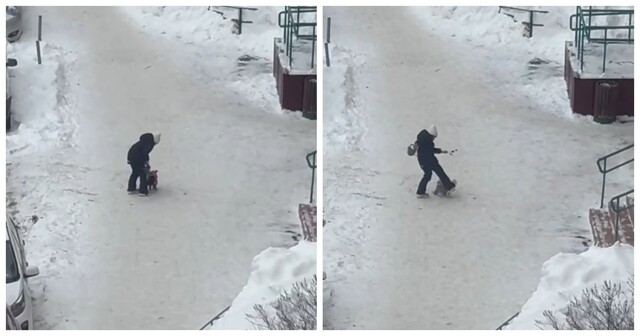 Девочка избила собаку в Подмосковье