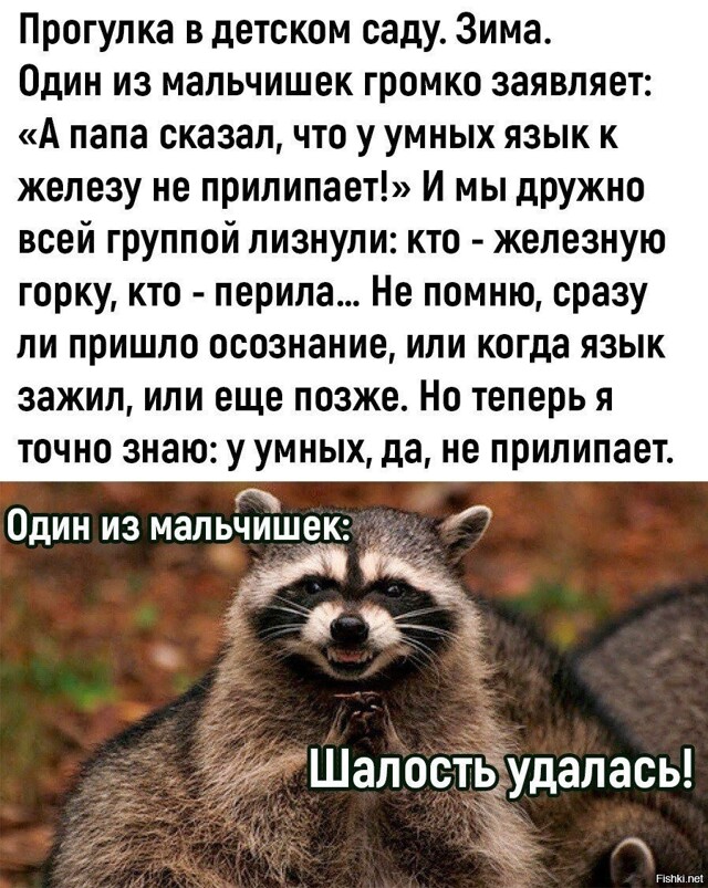 Солянка от 13.02.2026