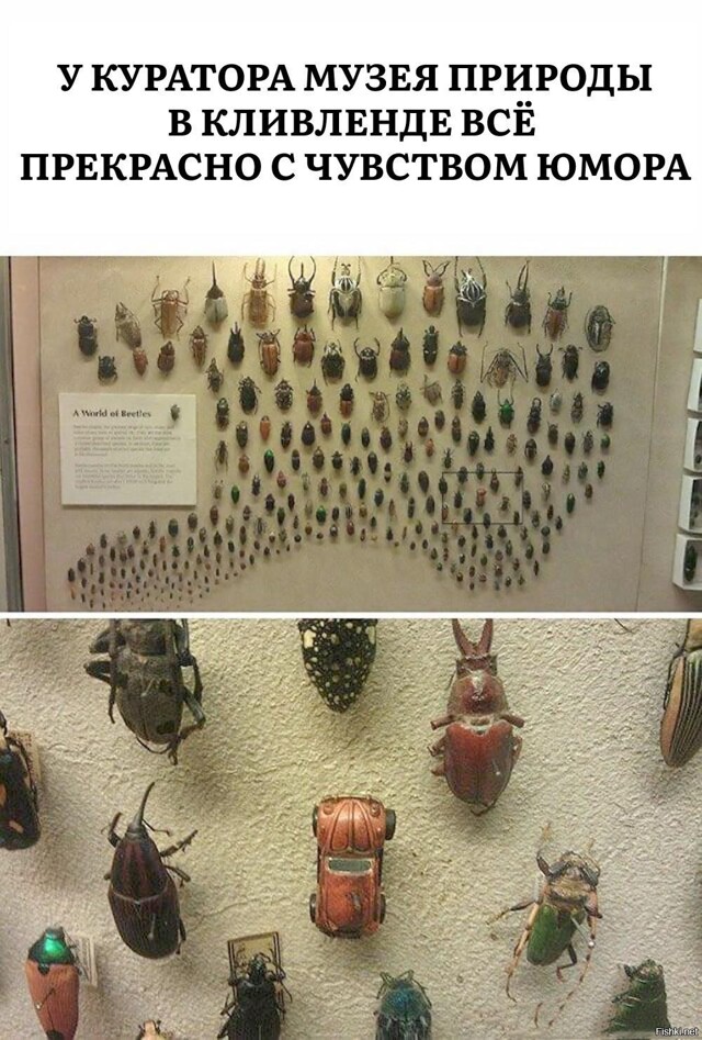 Солянка от 13.02.2026