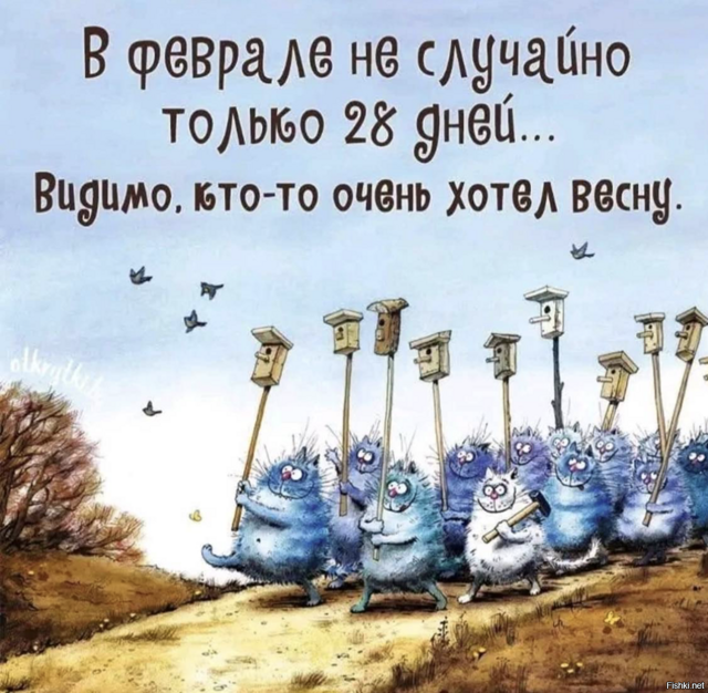 Солянка от 13.02.2026