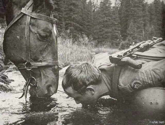Пить там, где конь пьет