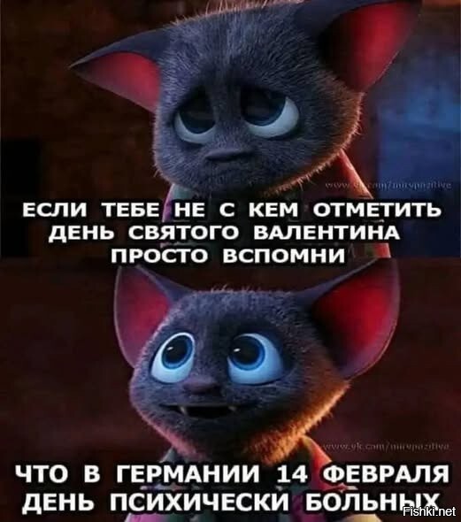 Солянка от 14.02.2026