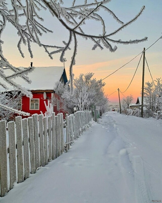 Солянка от 14.02.2026