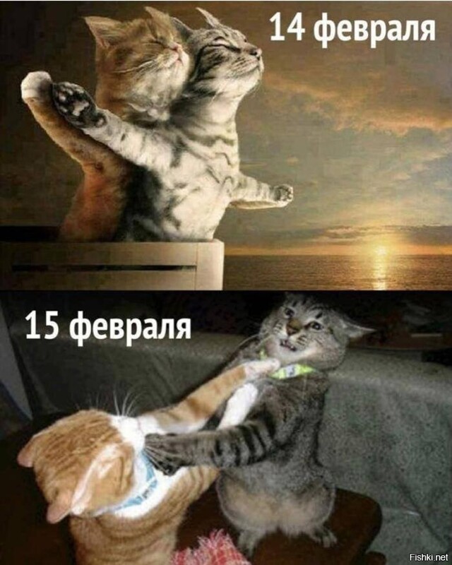 Солянка от 14.02.2026