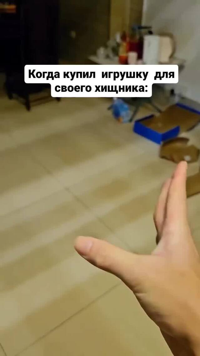 Солянка от 14.02.2026