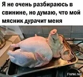 Солянка от 14.02.2026