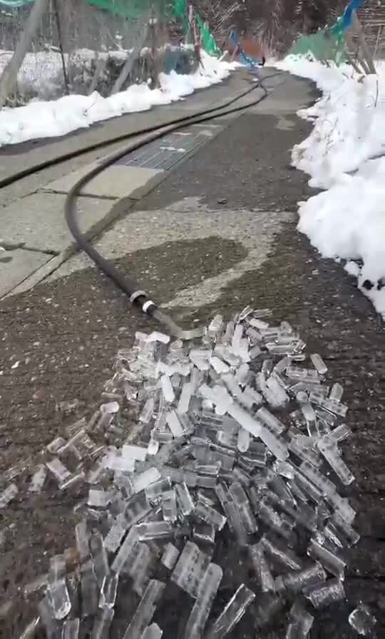 Солянка от 14.02.2026
