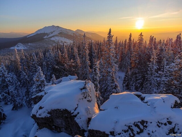 Солянка от 14.02.2026
