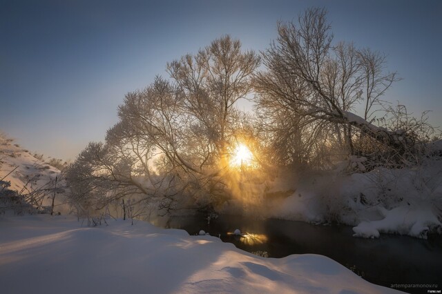 Солянка от 14.02.2026