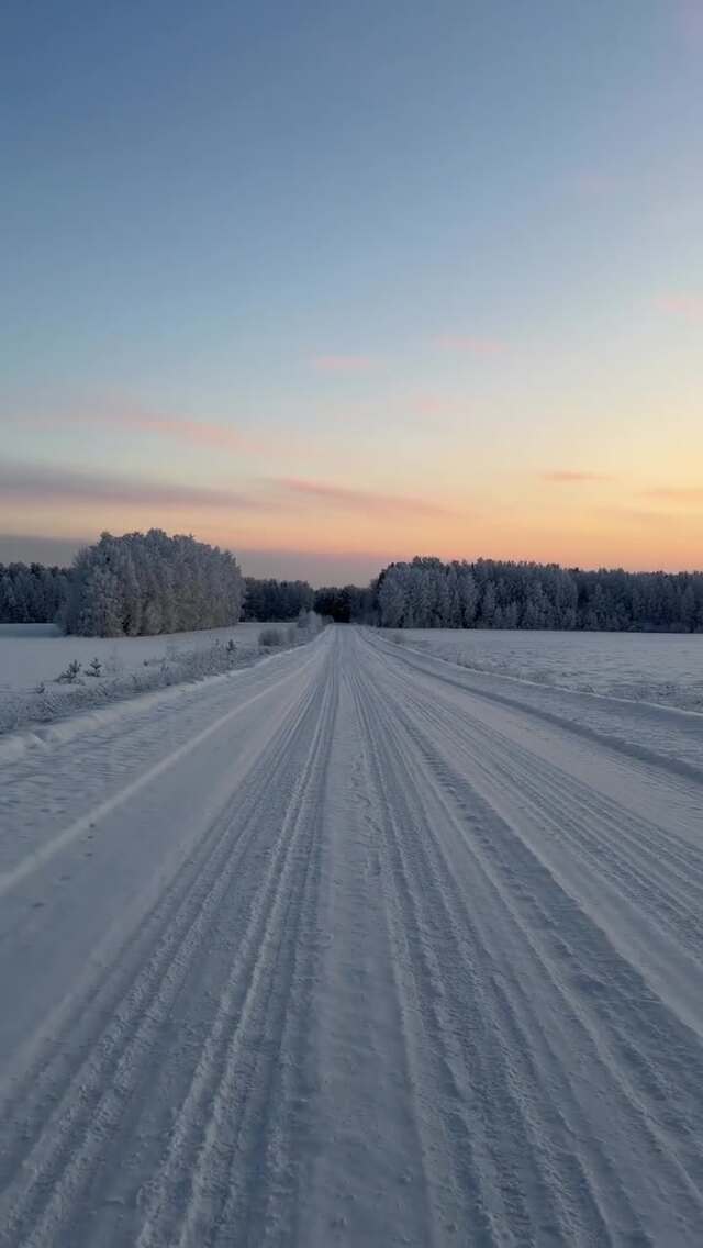 Солянка от 14.02.2026