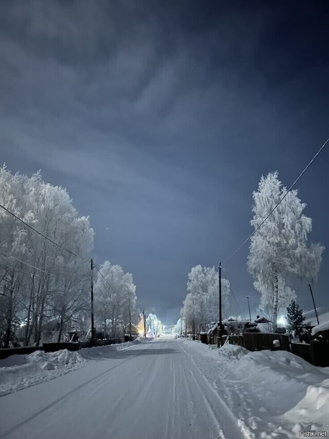 Солянка от 14.02.2026