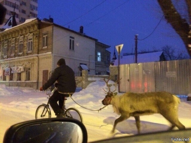 Солянка от 14.02.2026