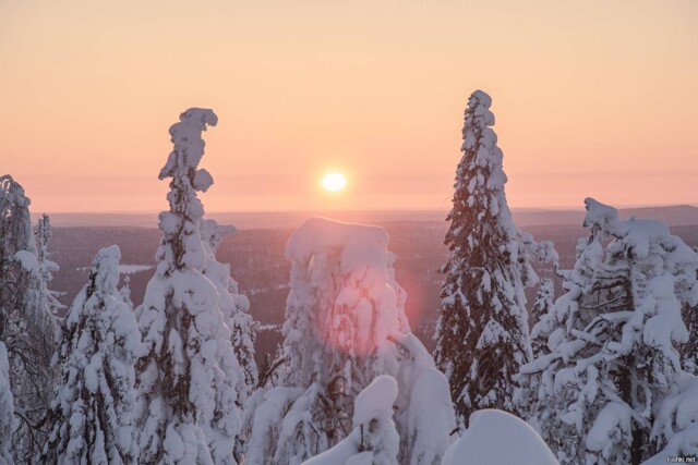 Солянка от 14.02.2026