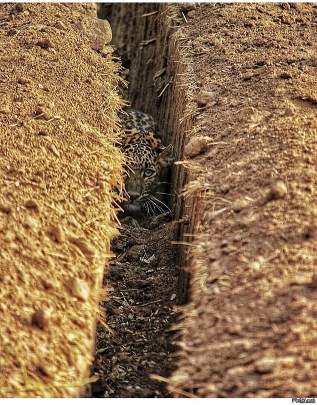 Солянка от 14.02.2026