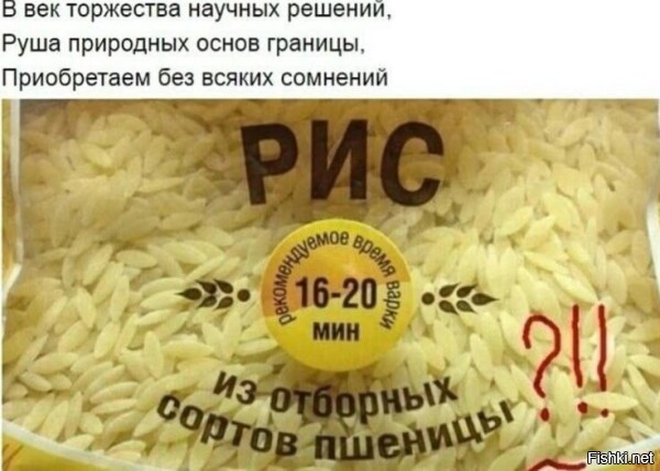 Солянка от 15.02.2026