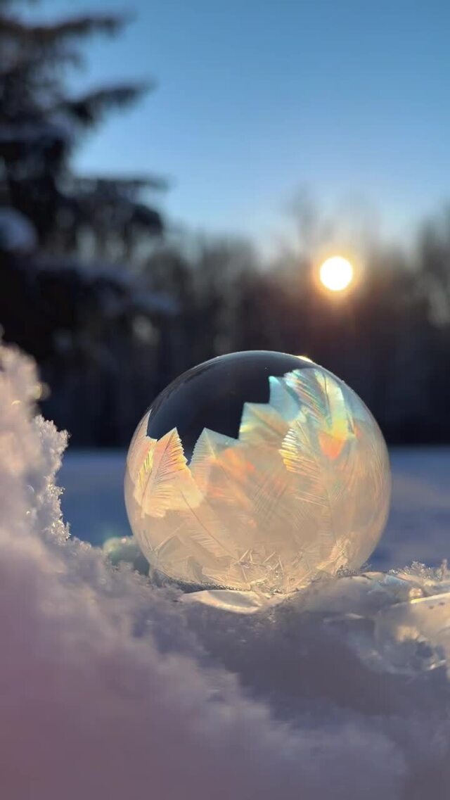 Солянка от 15.02.2026