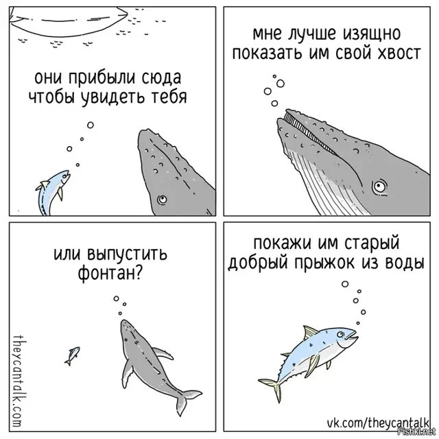 Солянка от 15.02.2026