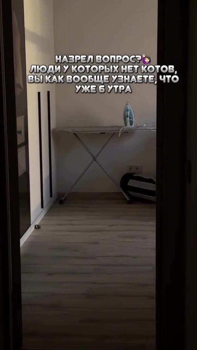 Солянка от 15.02.2026