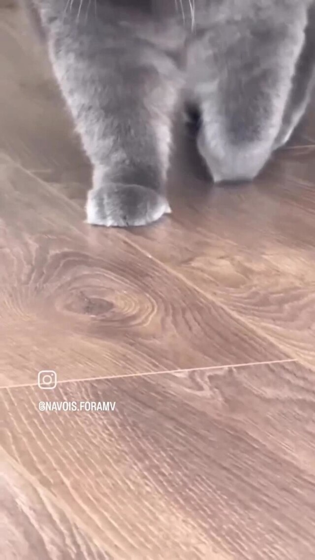 Солянка от 15.02.2026