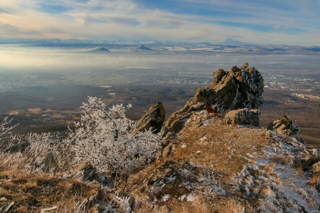 Солянка от 15.02.2026