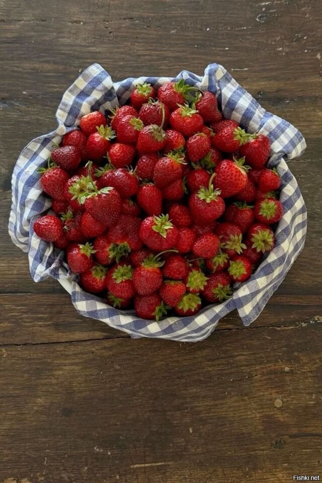 Солянка от 15.02.2026