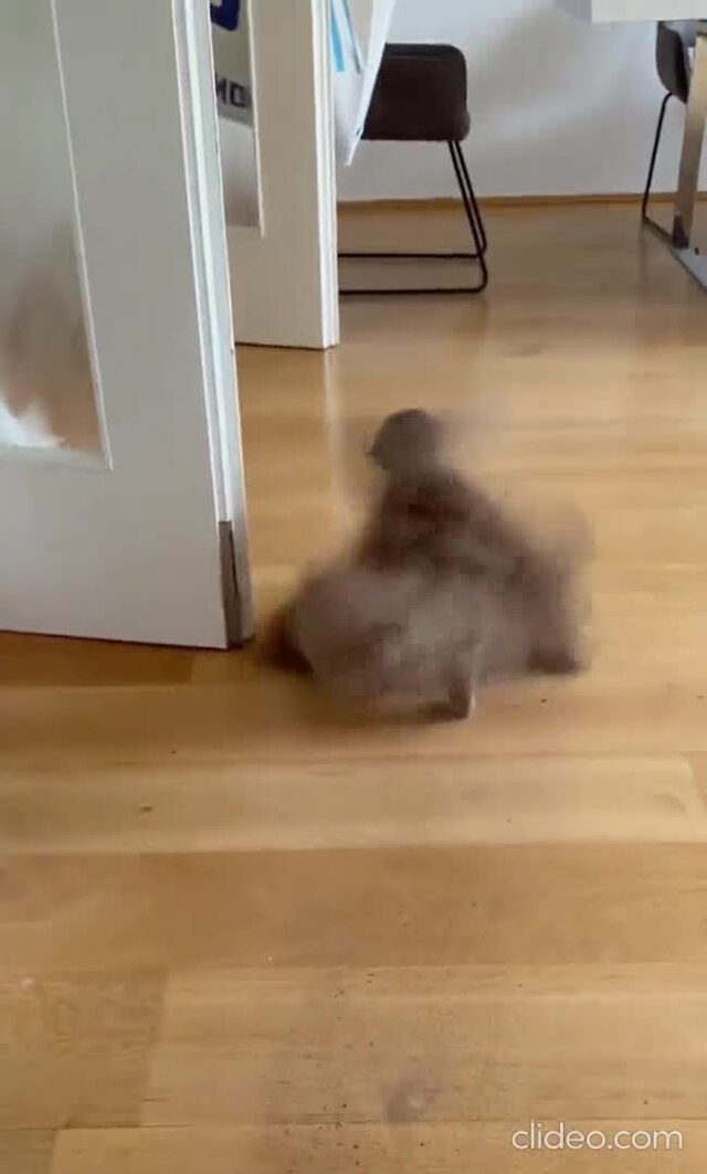 Что творят