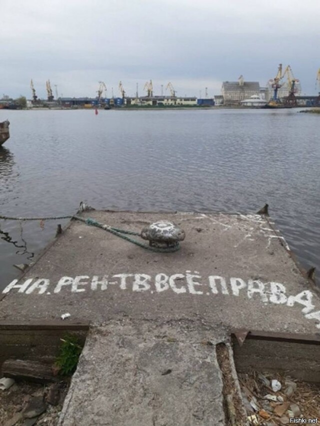 Солянка от 15.02.2026