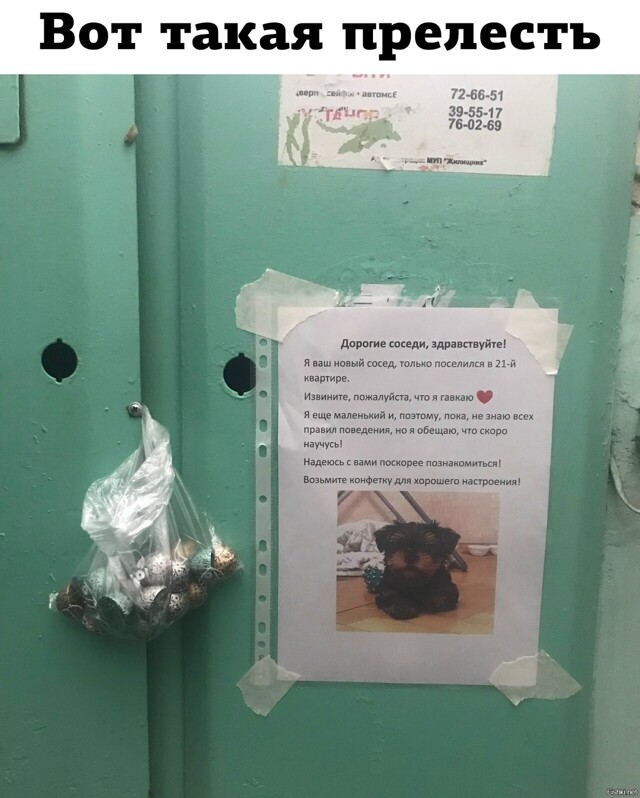 Солянка от 15.02.2026
