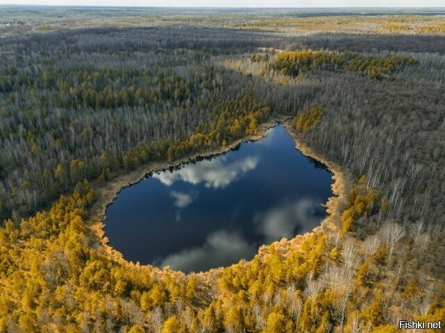 Мещёрское озеро, Владимирская область