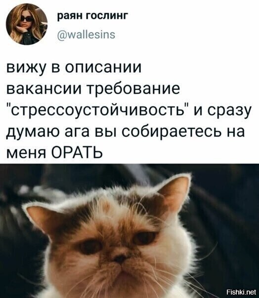 Солянка от 15.02.2026