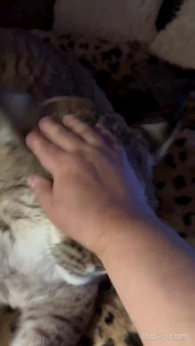 Солянка от 15.02.2026