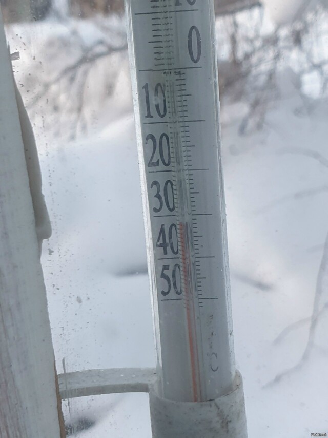 Морозно и солнечно сегодня