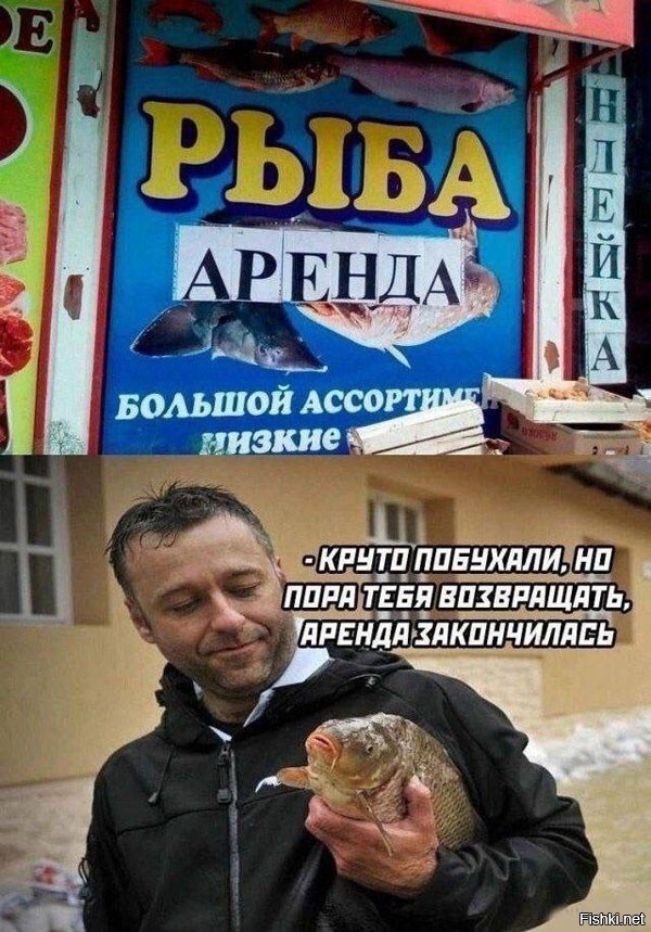 Солянка от 15.02.2026