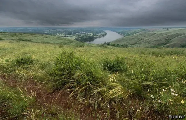 Солянка от 15.02.2026