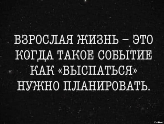 Солянка от 15.02.2026