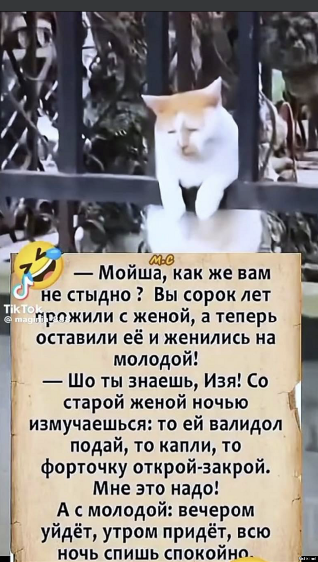 Солянка от 15.02.2026