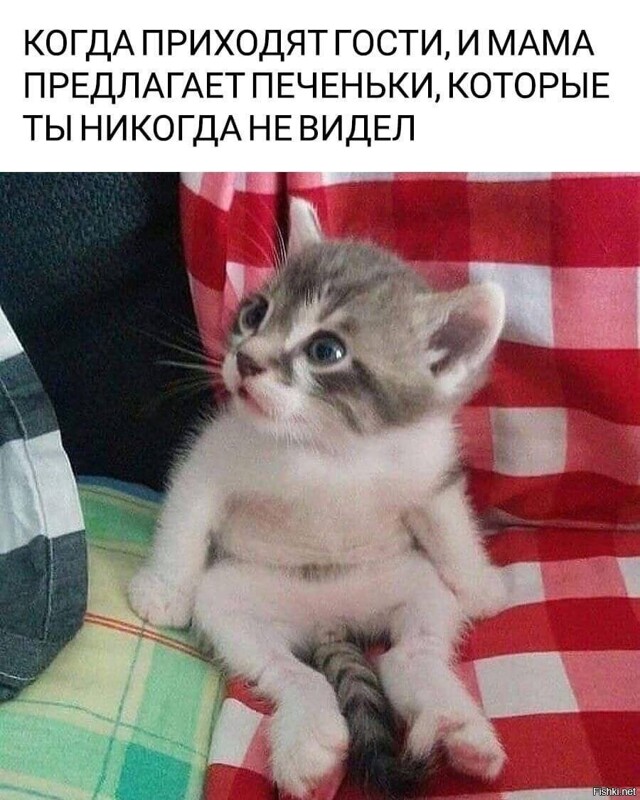 Солянка от 15.02.2026