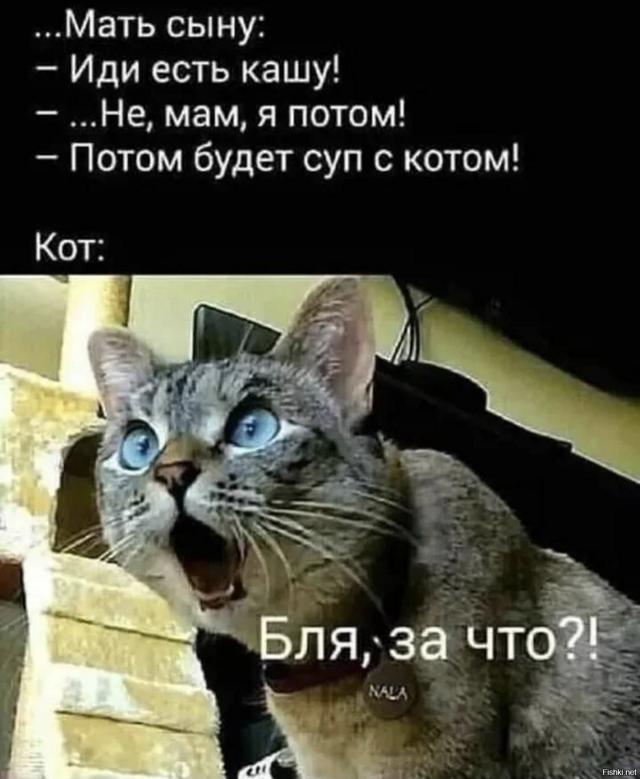 Солянка от 15.02.2026