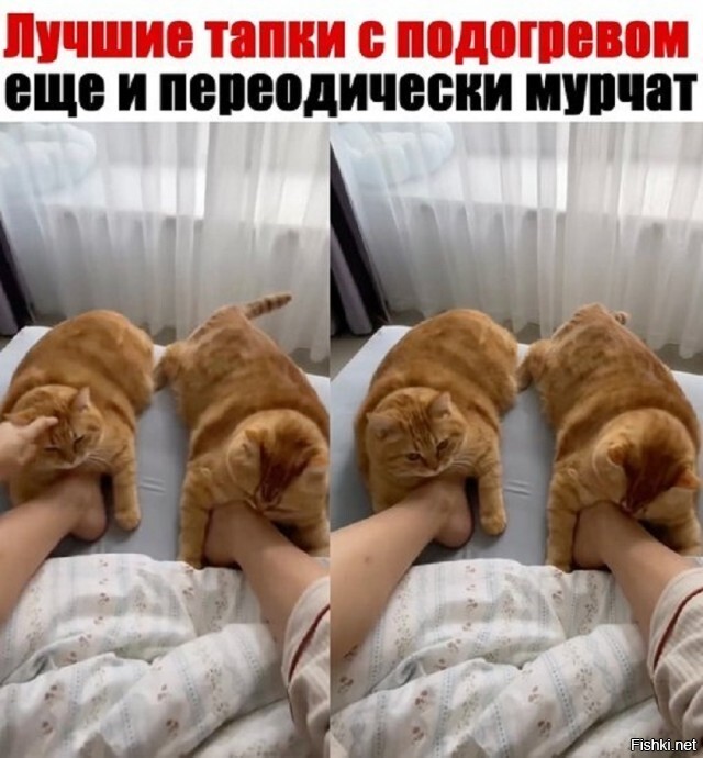 Солянка от 15.02.2026