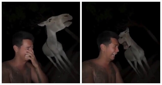 Парень нашёл родственную душу