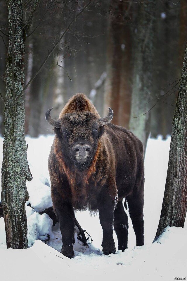 Солянка от 16.02.2026