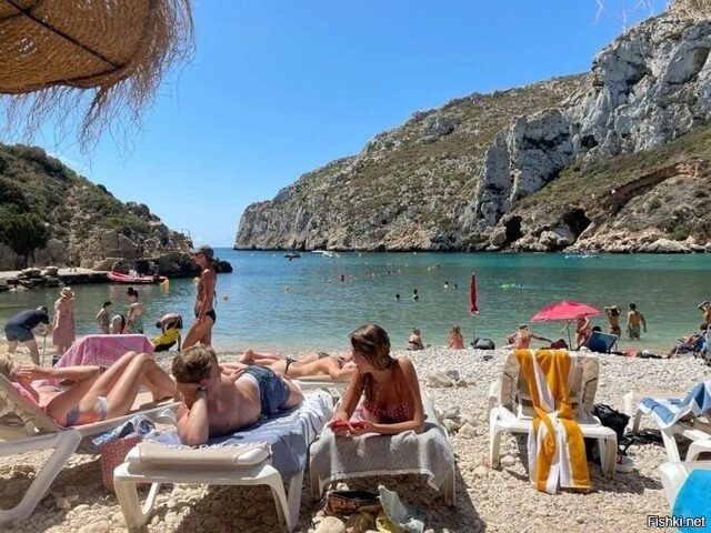 Солянка от 16.02.2026