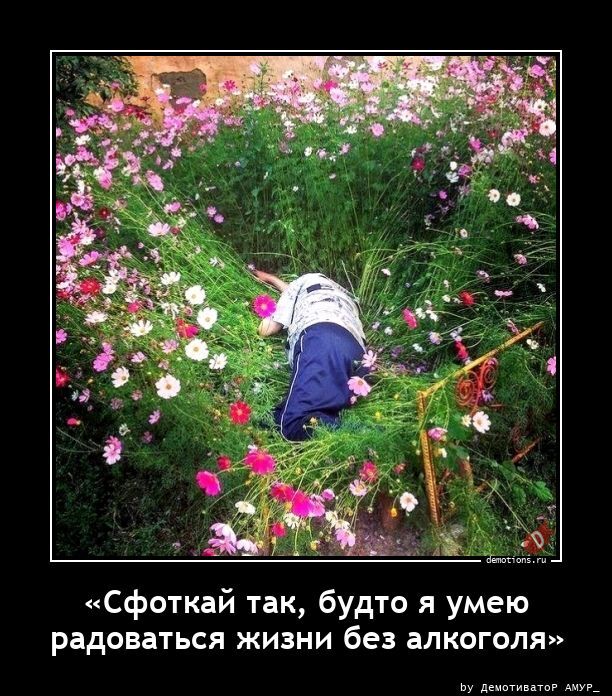 Демотиваторы на злобу дня